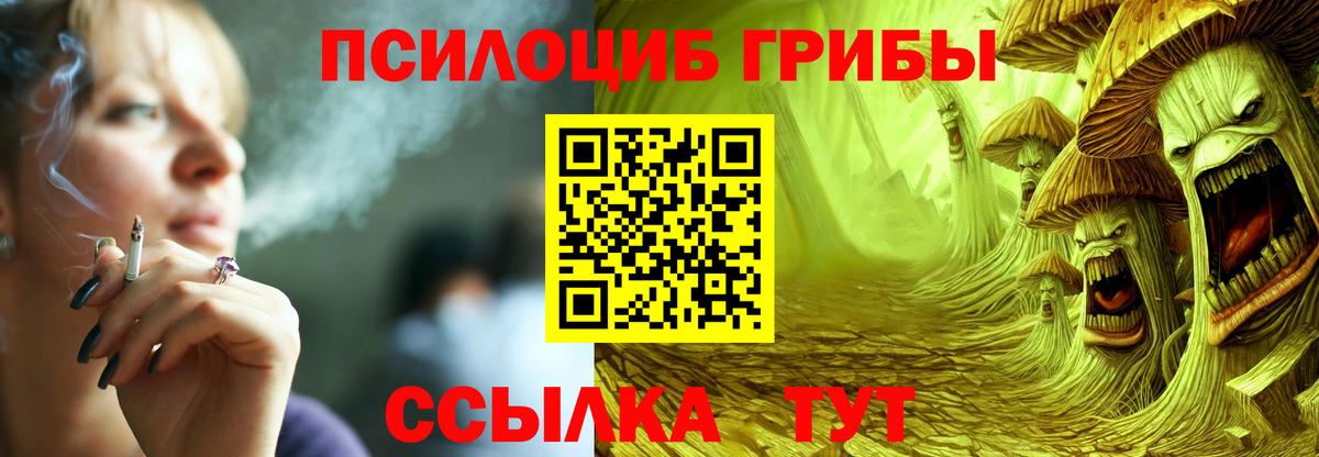 Галлюциногенные грибы Psilocybine cubensis Россия
